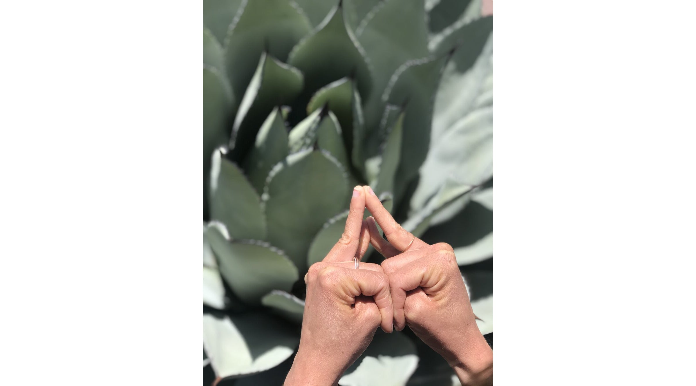 shakti mudra